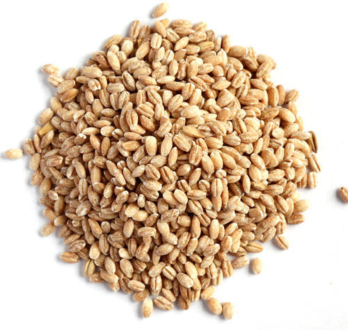 Barley (Hulled - 260g - (9.17oz)