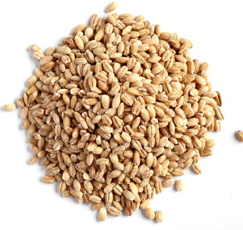 Barley (Hulled - 260g - 9.17oz)