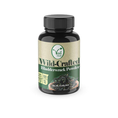 Bladderwrack Powder (Wild Crafted) - 113.40g (4oz)