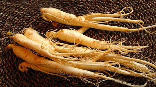 Ginseng Root Powder - Panax