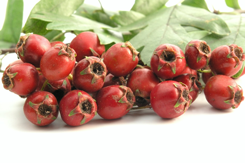 Hawthorn Berries Powder