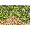 Lentils (Red, Green & Yellow) (250g - 8.82oz)