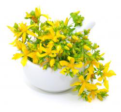 St. Johns Wort Powder